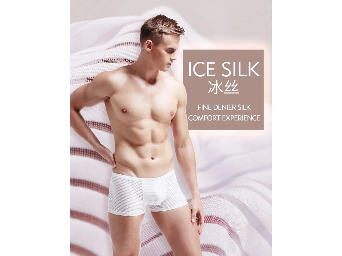 Air-Grid — Ultra-Thin Sheer Mesh Gay Boxer Briefs