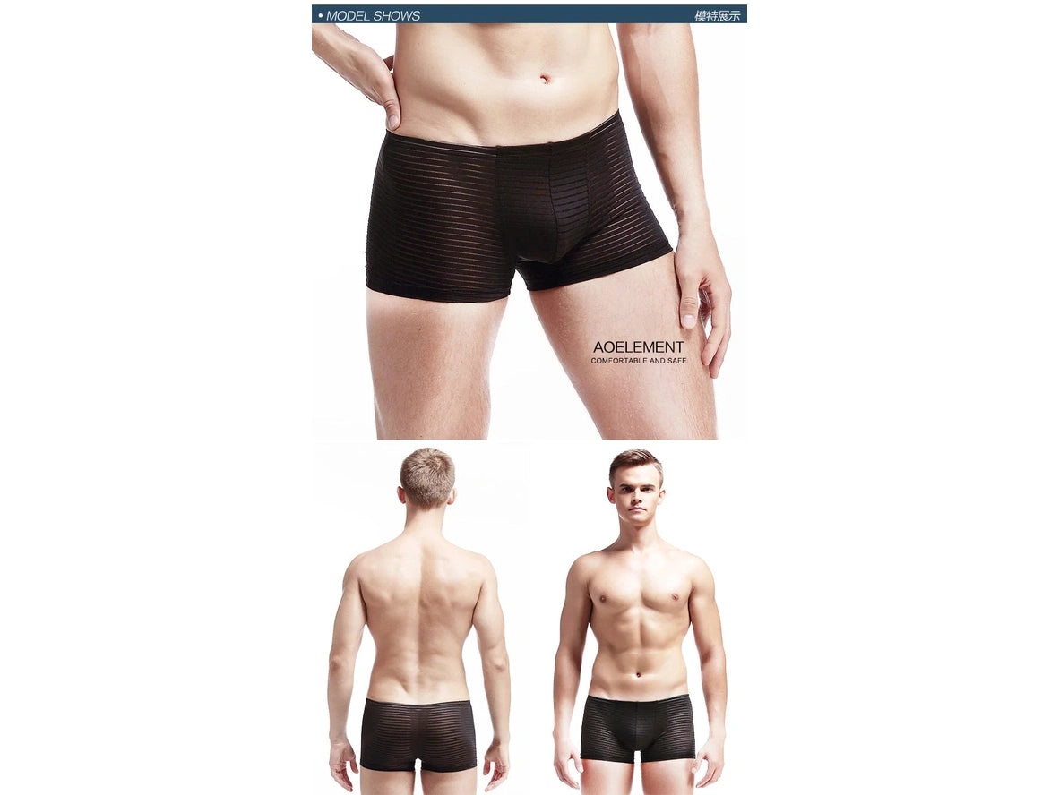 Air-Grid — Ultra-Thin Sheer Mesh Gay Boxer Briefs