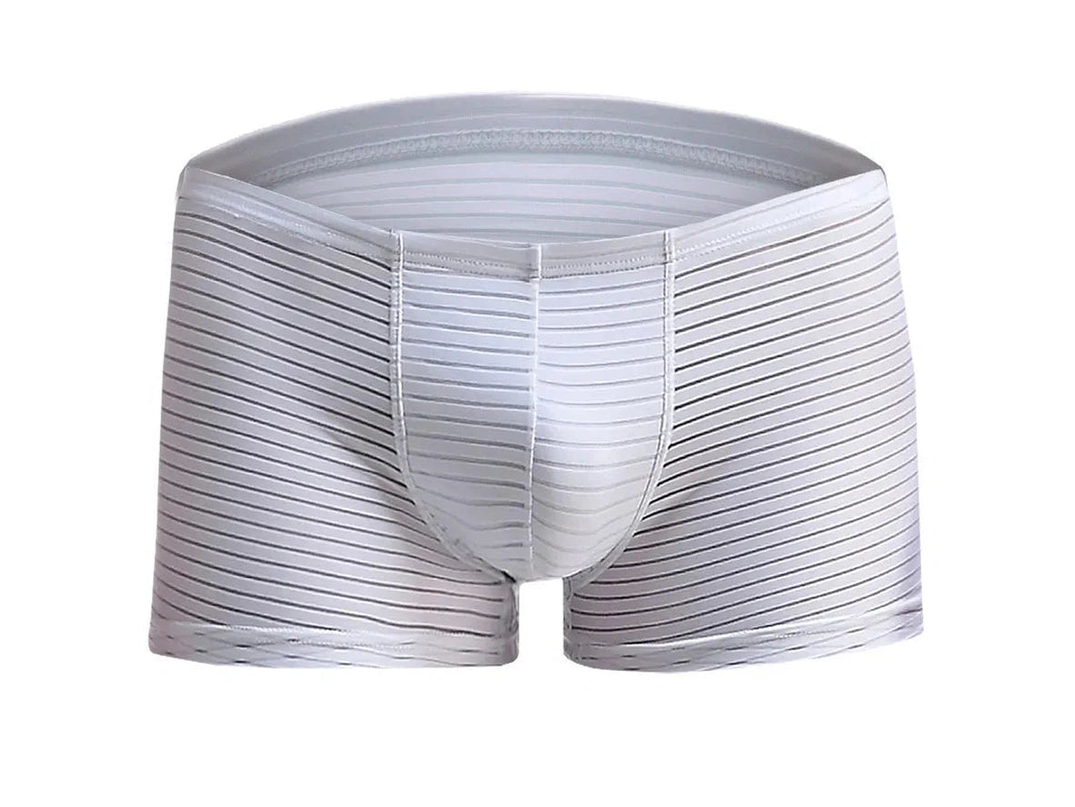 Air-Grid — Ultra-Thin Sheer Mesh Gay Boxer Briefs