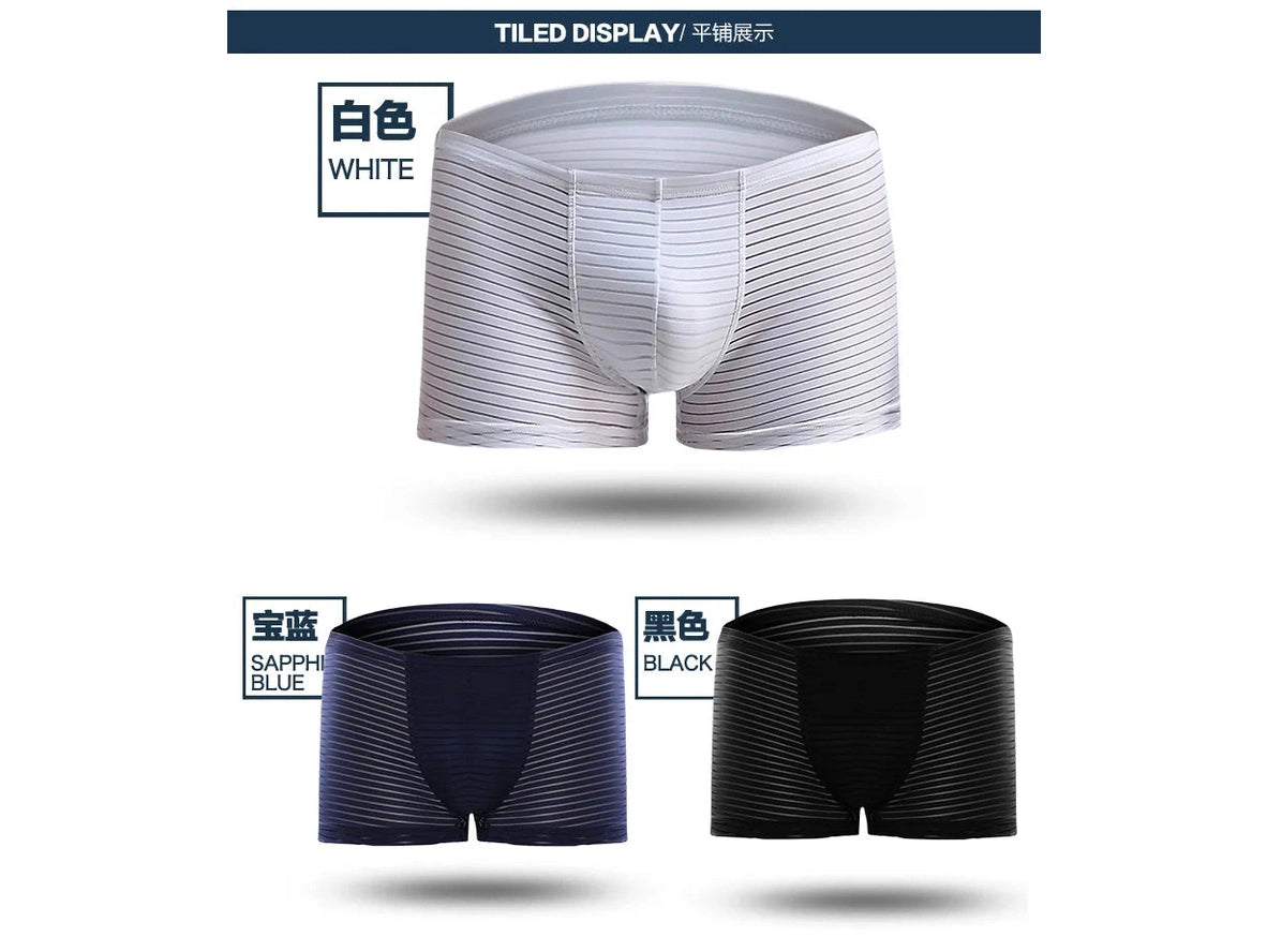 Air-Grid — Ultra-Thin Sheer Mesh Gay Boxer Briefs