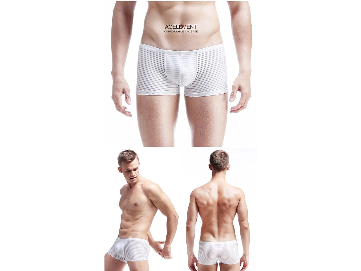 Air-Grid — Ultra-Thin Sheer Mesh Gay Boxer Briefs