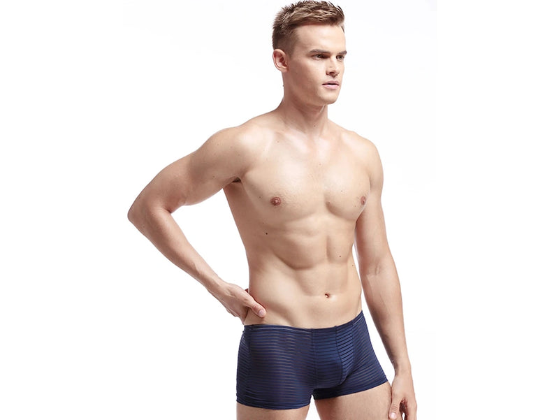 Air-Grid — Ultra-Thin Sheer Mesh Gay Boxer Briefs