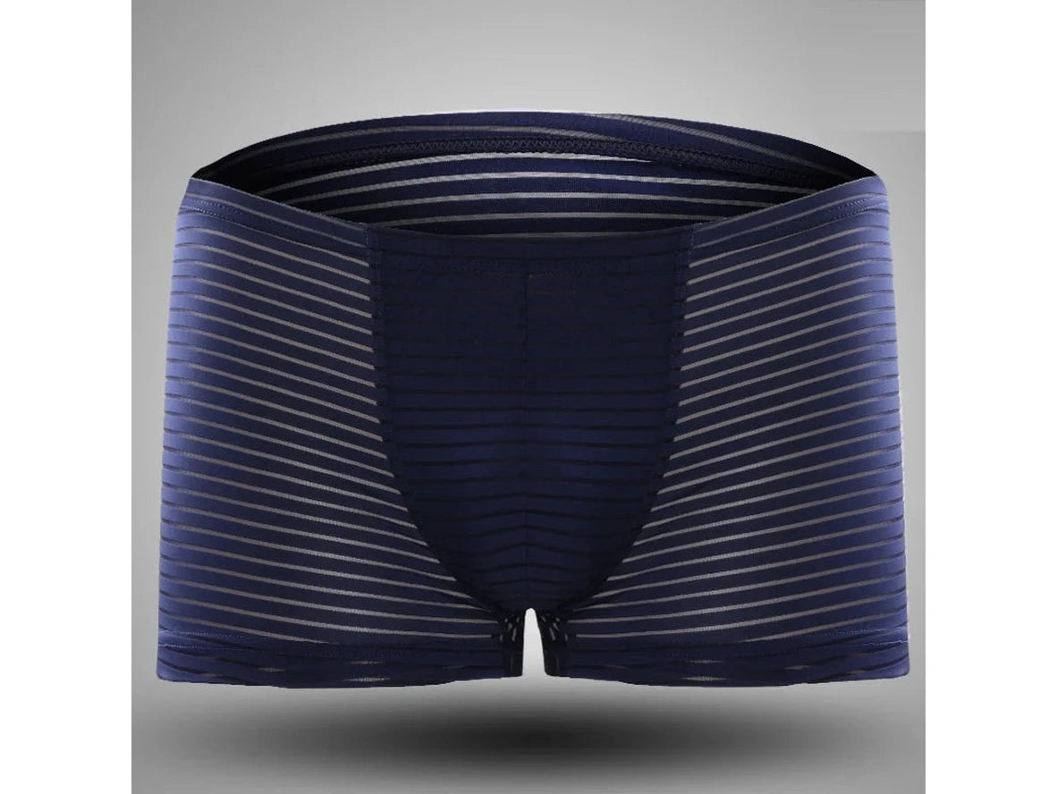 Air-Grid — Ultra-Thin Sheer Mesh Gay Boxer Briefs