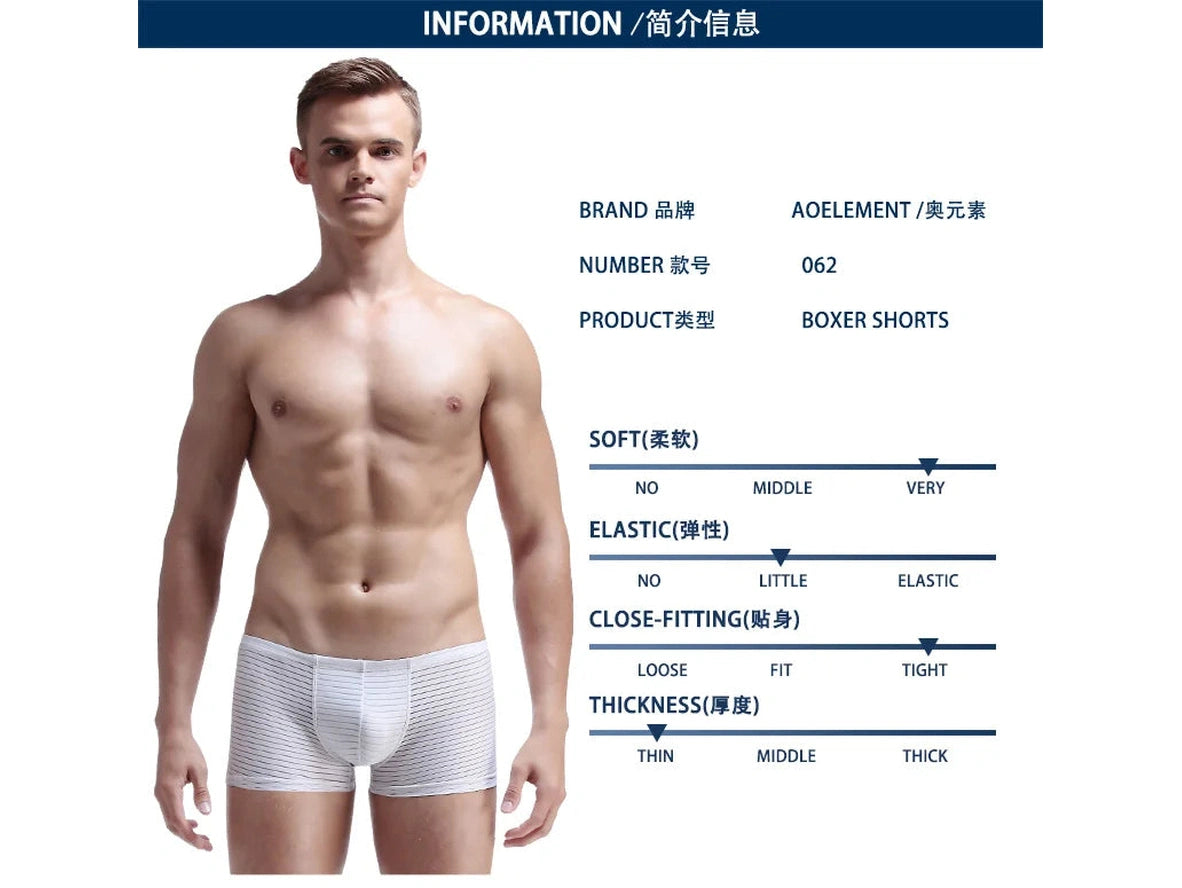 Air-Grid — Ultra-Thin Sheer Mesh Gay Boxer Briefs