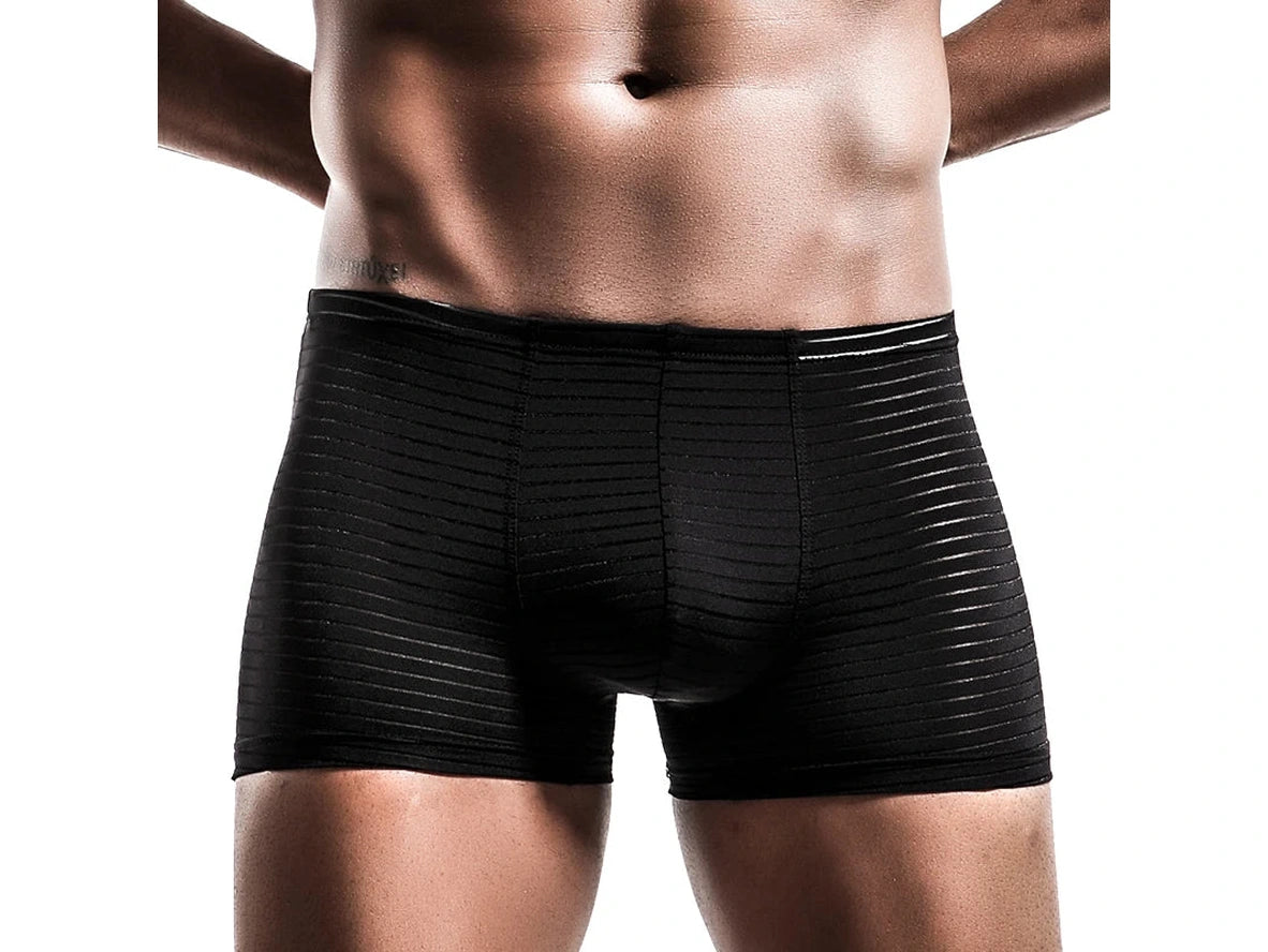 Air-Grid — Ultra-Thin Sheer Mesh Gay Boxer Briefs