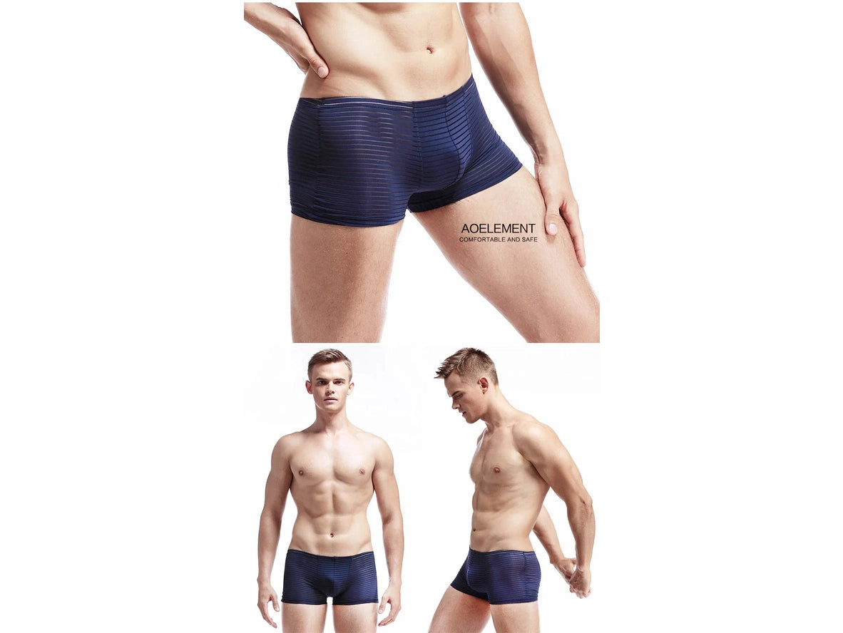Air-Grid — Ultra-Thin Sheer Mesh Gay Boxer Briefs