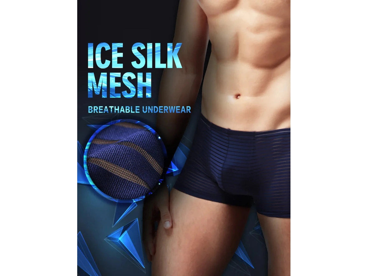 Air-Grid — Ultra-Thin Sheer Mesh Gay Boxer Briefs