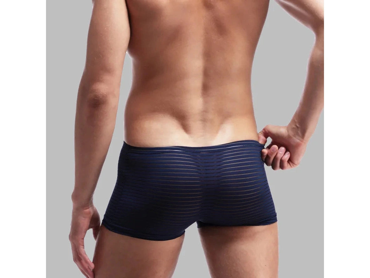 Air-Grid — Ultra-Thin Sheer Mesh Gay Boxer Briefs
