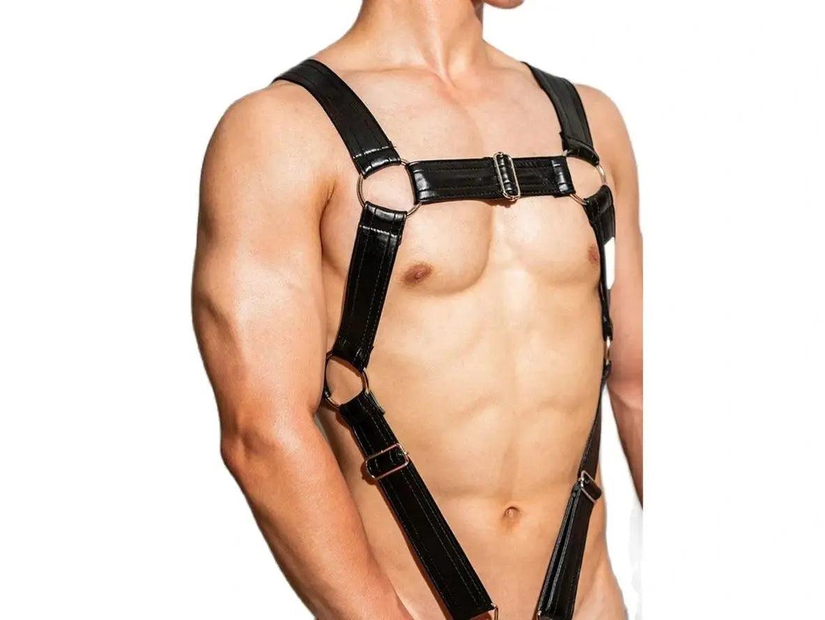 Body Control – D.M Gay Harness