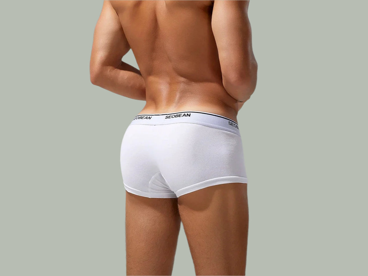 Clean Fit – Solid Cotton SEOBEAN Gay Boxer Briefs
