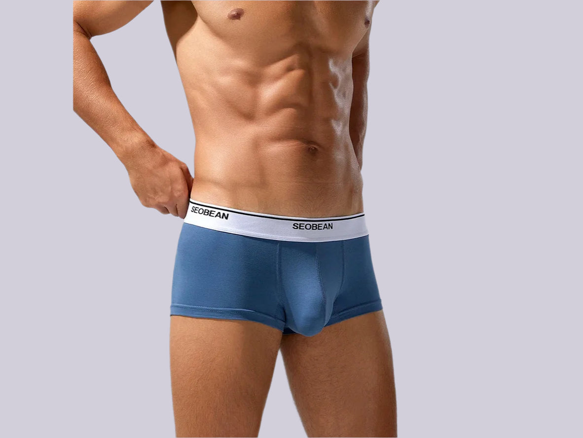 Clean Fit – Solid Cotton SEOBEAN Gay Boxer Briefs