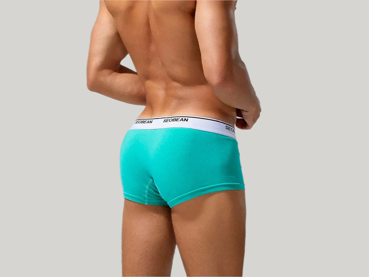 Clean Fit – Solid Cotton SEOBEAN Gay Boxer Briefs