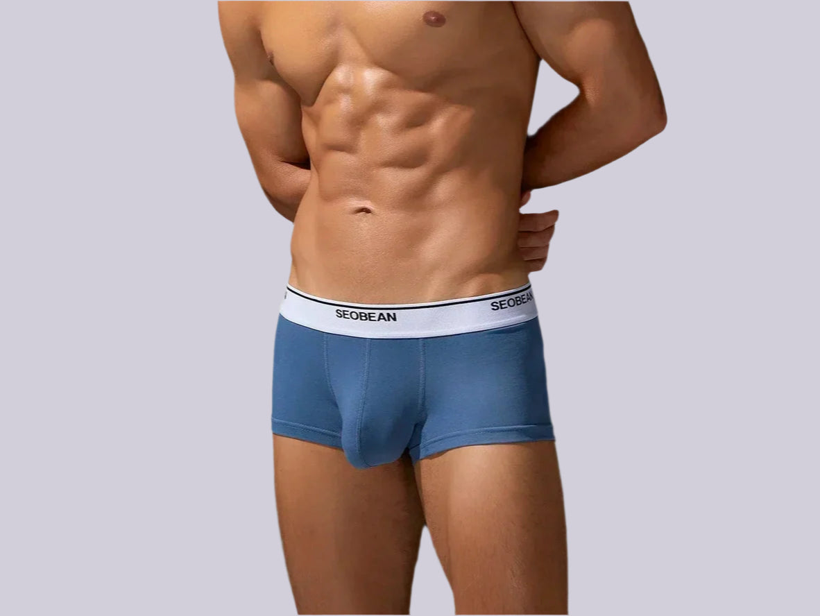 Clean Fit – Solid Cotton SEOBEAN Gay Boxer Briefs