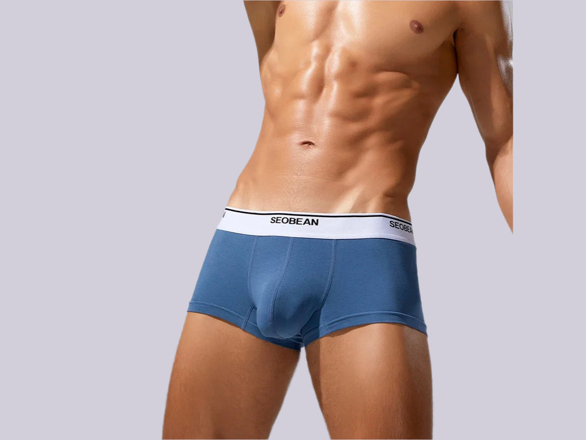 Clean Fit – Solid Cotton SEOBEAN Gay Boxer Briefs