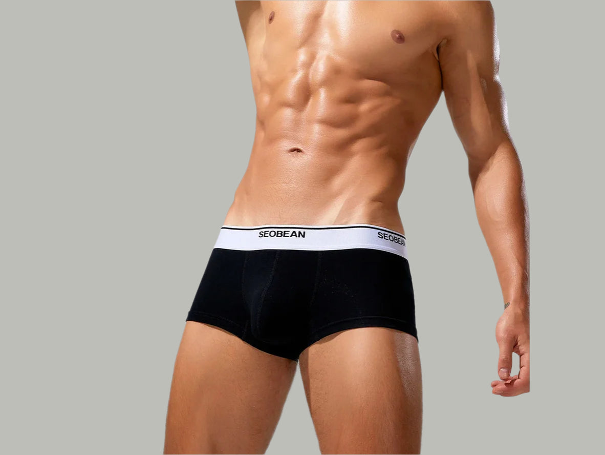 Clean Fit – Solid Cotton SEOBEAN Gay Boxer Briefs
