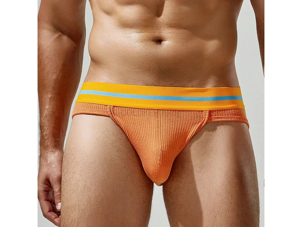 Color Pop – Sexy Gay Briefs