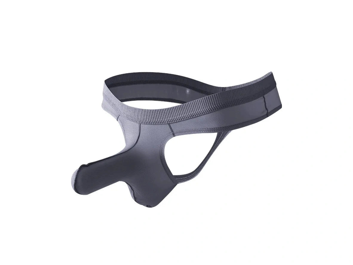 Forbidden Desire – Sheer Gay Thong