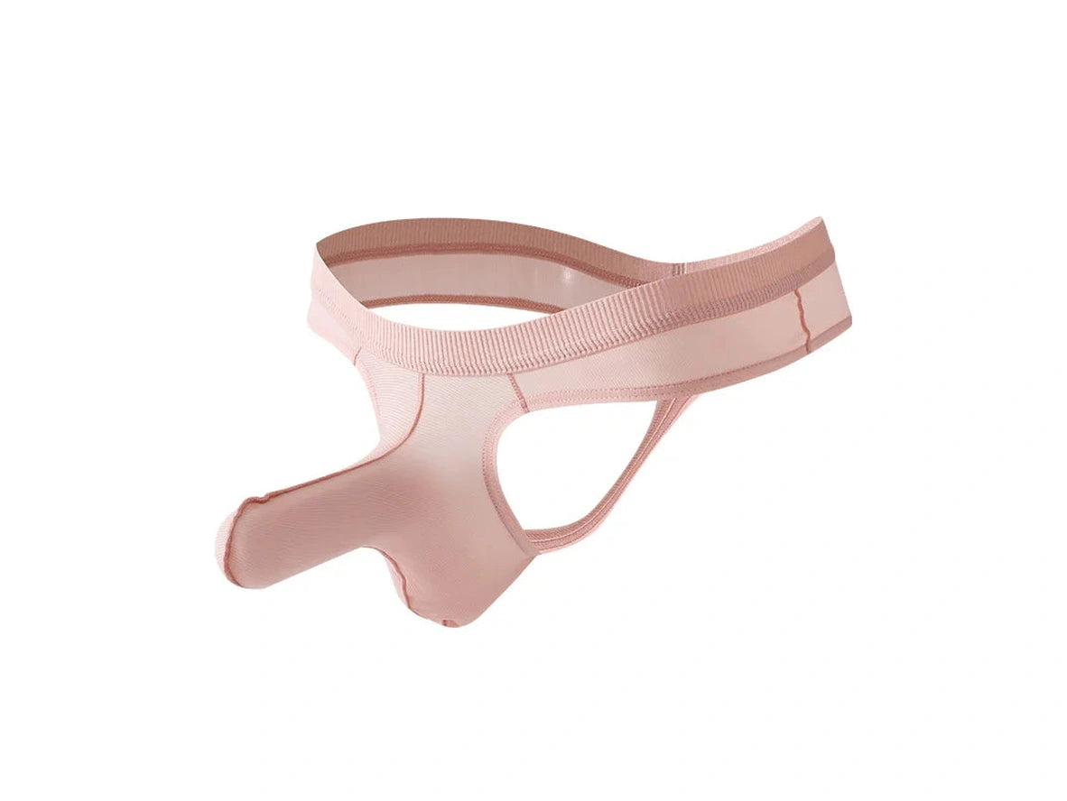 Forbidden Desire – Sheer Gay Thong