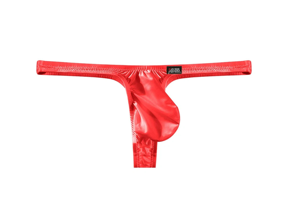 Arctic Glide – Ice Silk Gay Thongs