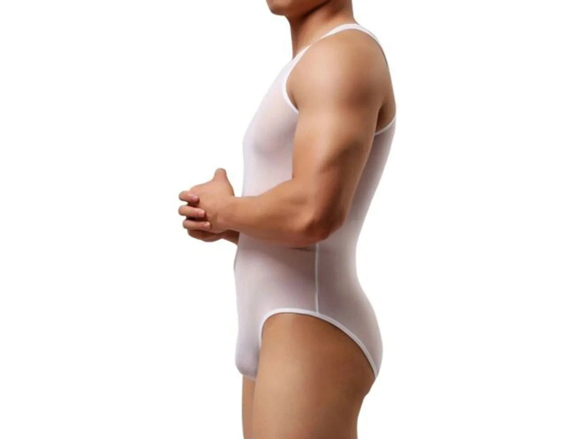 FIXED - Gay Bodysuits | Mesh See-Through Loungewear