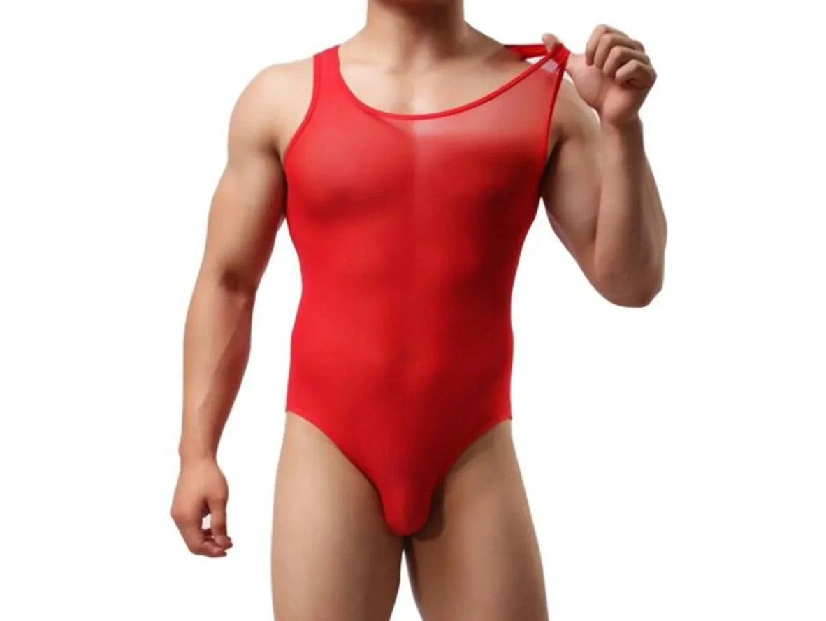 FIXED - Gay Bodysuits | Mesh See-Through Loungewear