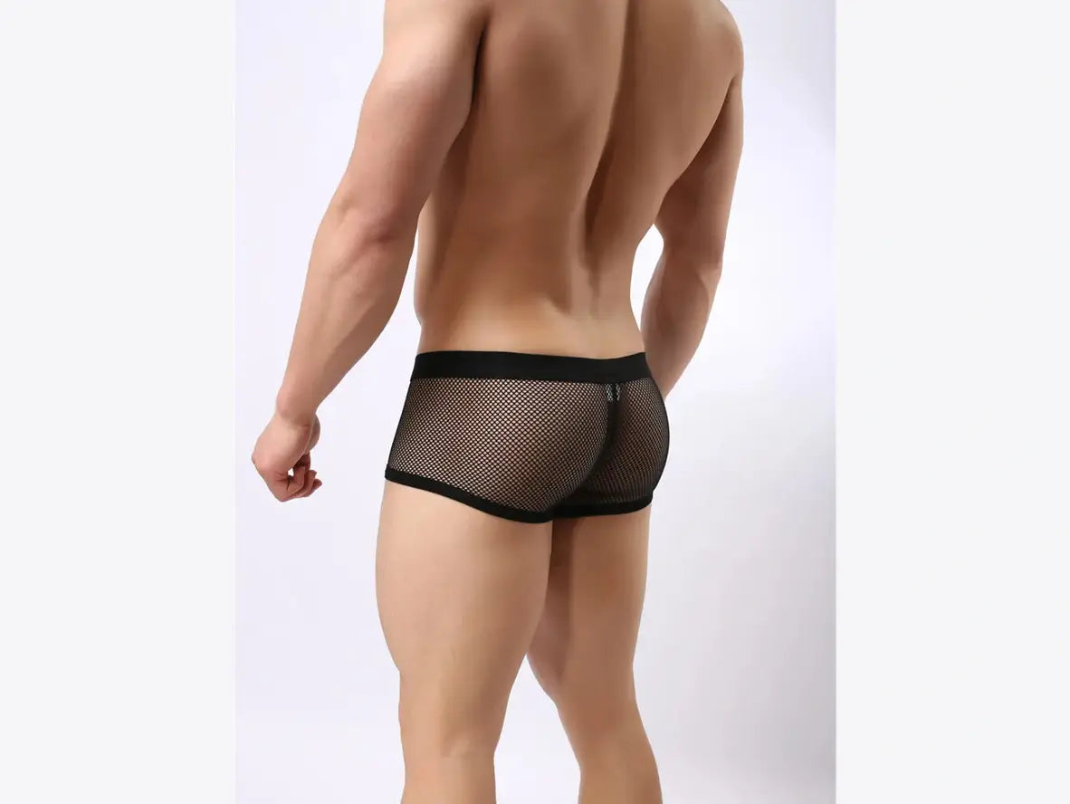 Gay Boxer Briefs | BRAVE PERSON Underwear Mesh Boxer Briefs
