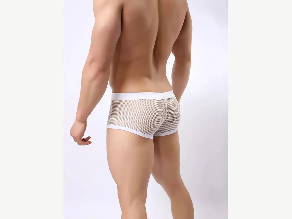 Gay Boxer Briefs | BRAVE PERSON Underwear Mesh Boxer Briefs