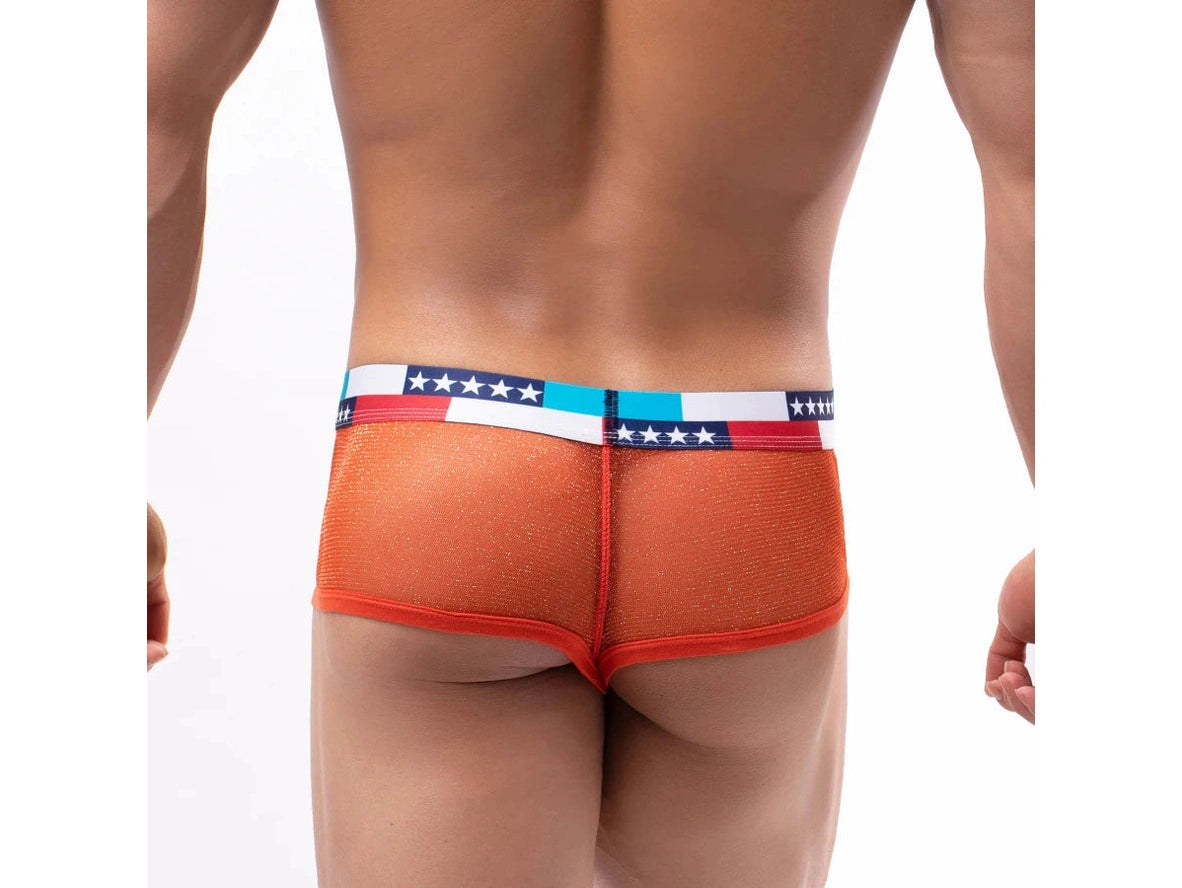 Gay Boxer Briefs | Cheeky Gay Boxer Briefs