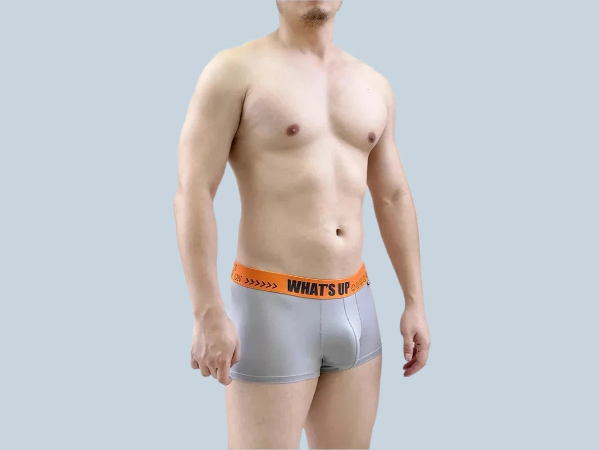 Gay Boxer Briefs | GTOPX MAN "What's Up" Boxer Briefs