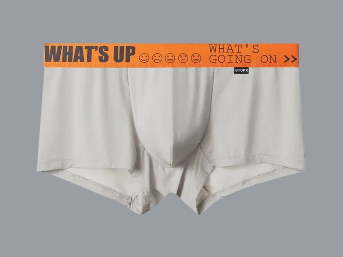 Gay Boxer Briefs | GTOPX MAN "What's Up" Boxer Briefs