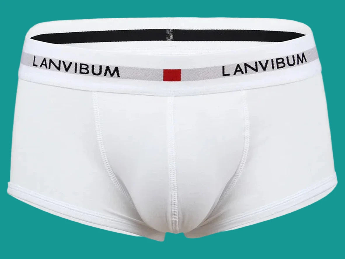 Gay Boxer Briefs | LANVIBUM Classic Cotton Briefs