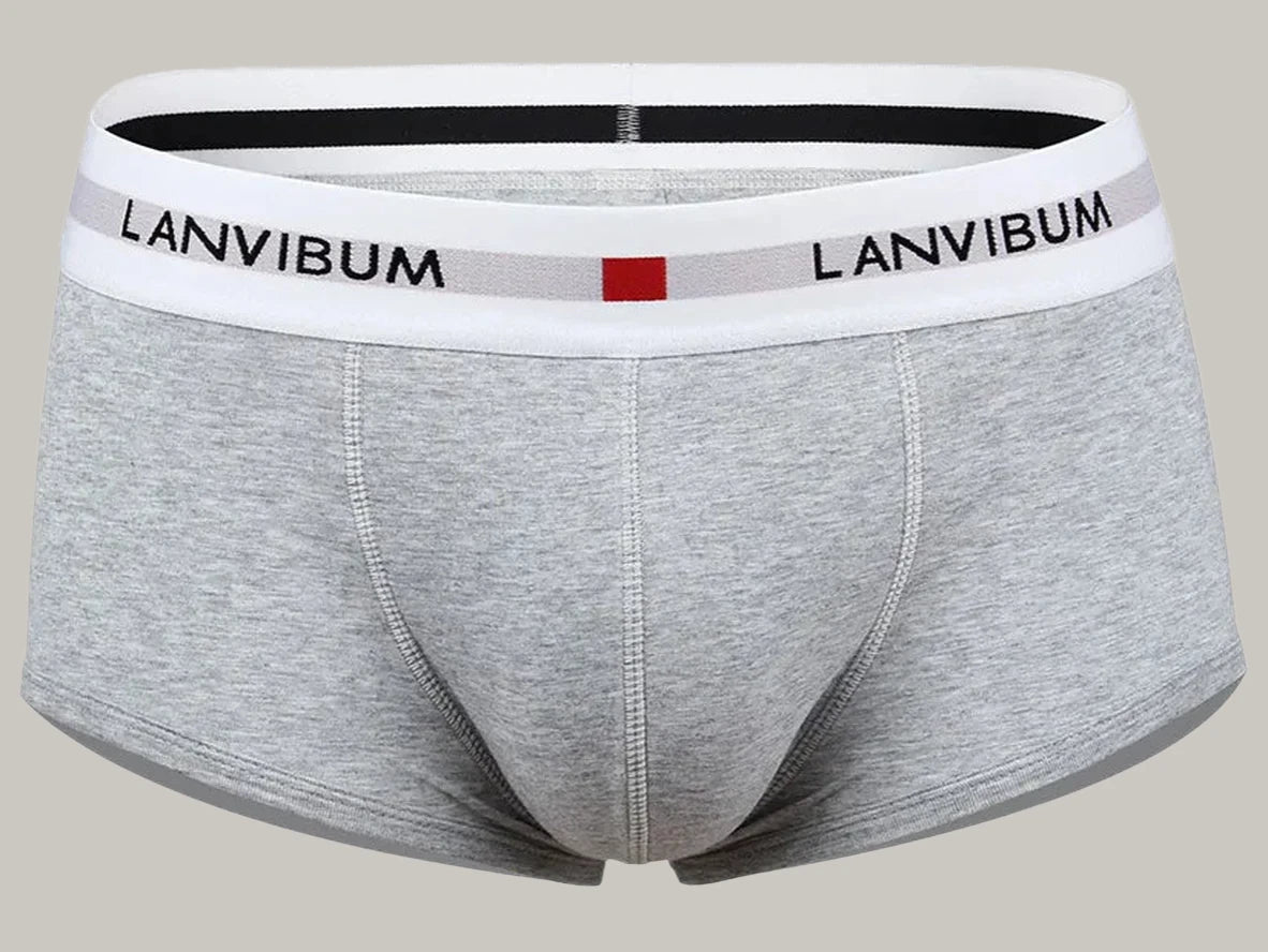 Gay Boxer Briefs | LANVIBUM Classic Cotton Briefs