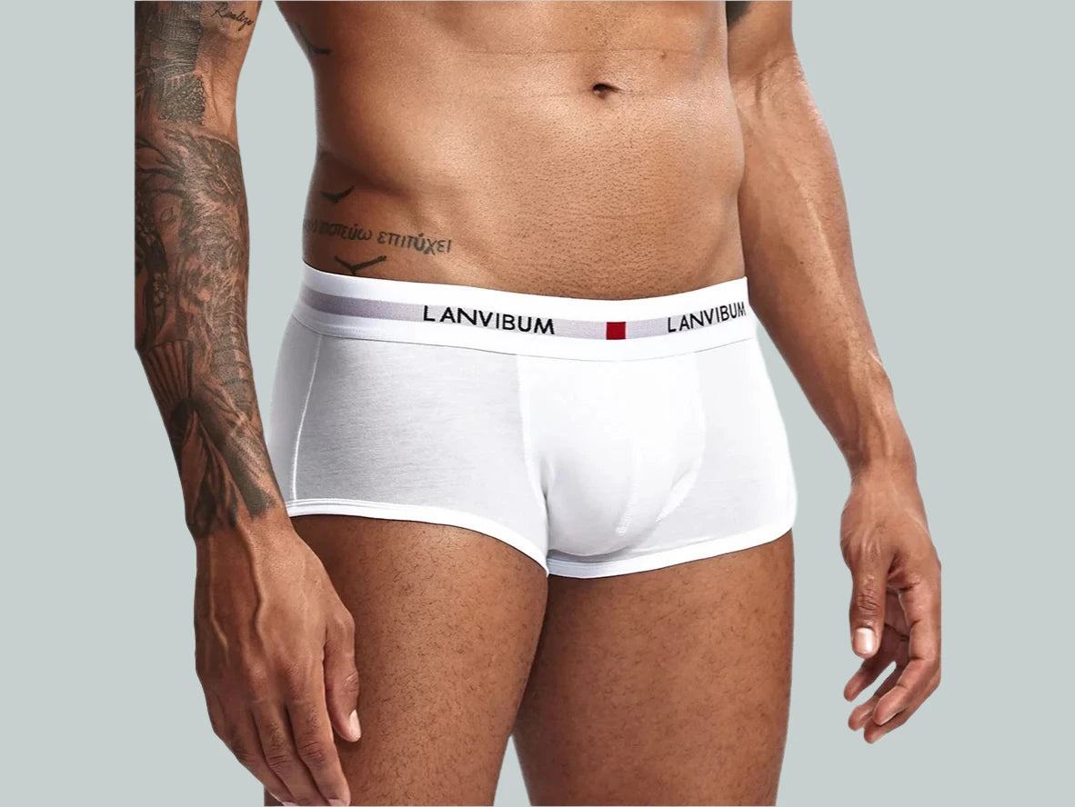 Gay Boxer Briefs | LANVIBUM Classic Cotton Briefs