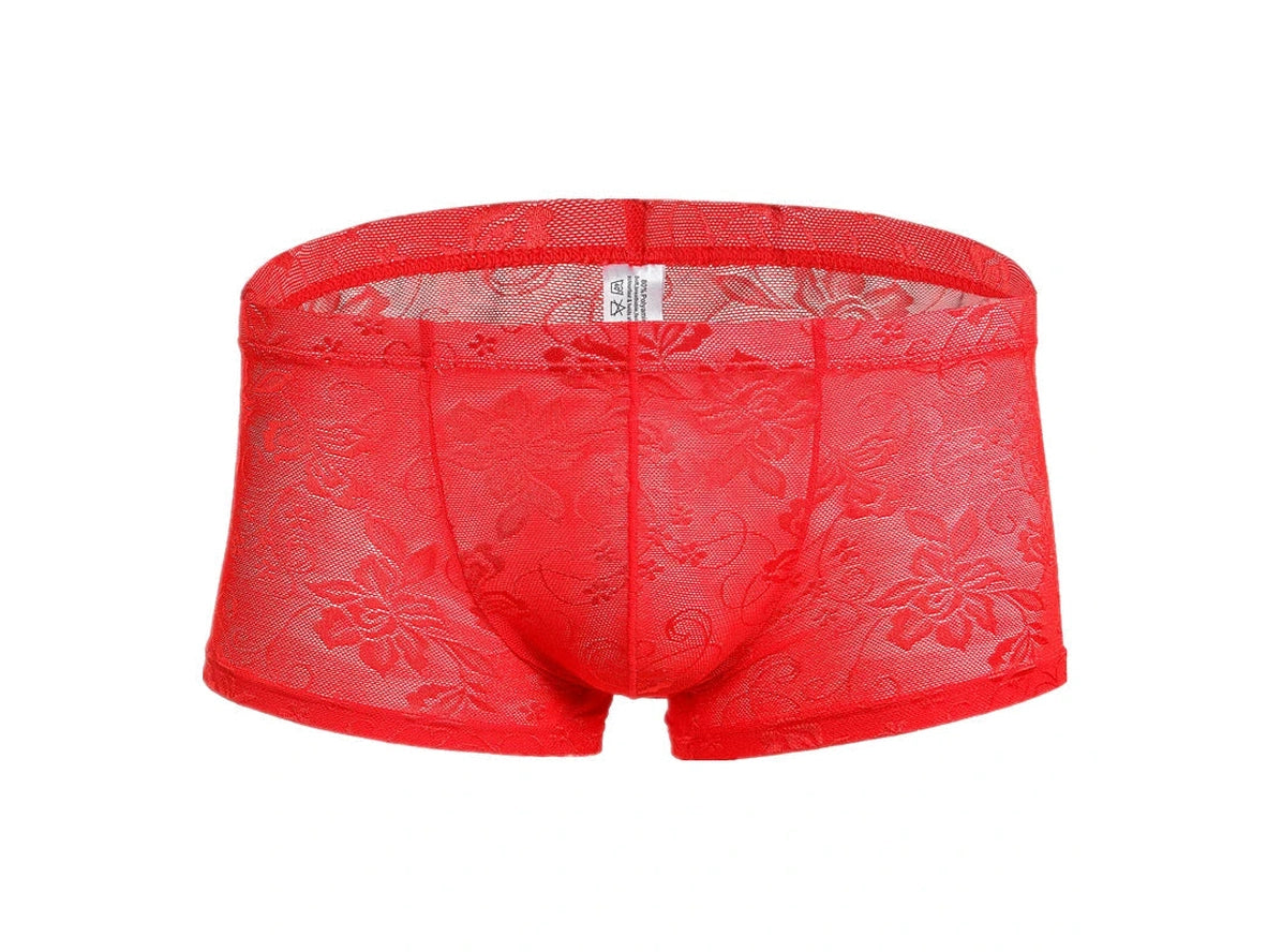 Gay Boxer Briefs | Lace See-Through Boxer Briefs