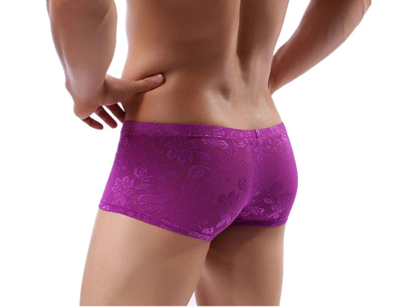 Gay Boxer Briefs | Lace See-Through Boxer Briefs