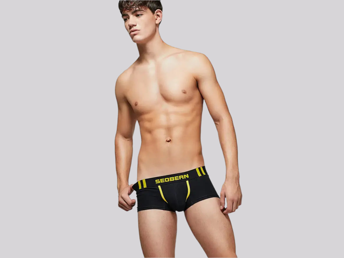 Gay Boxer Briefs | SEOBEAN Cotton Boxer Briefs