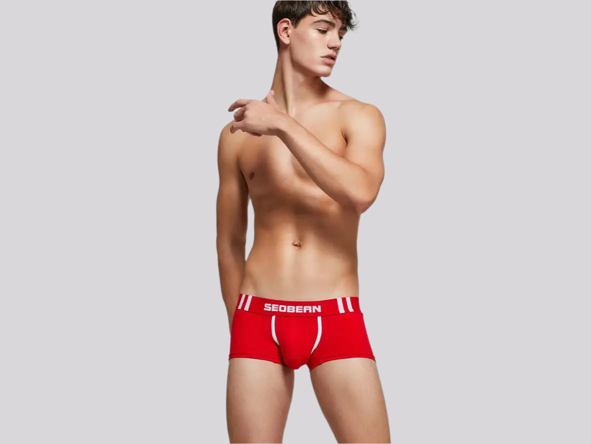 Gay Boxer Briefs | SEOBEAN Cotton Boxer Briefs