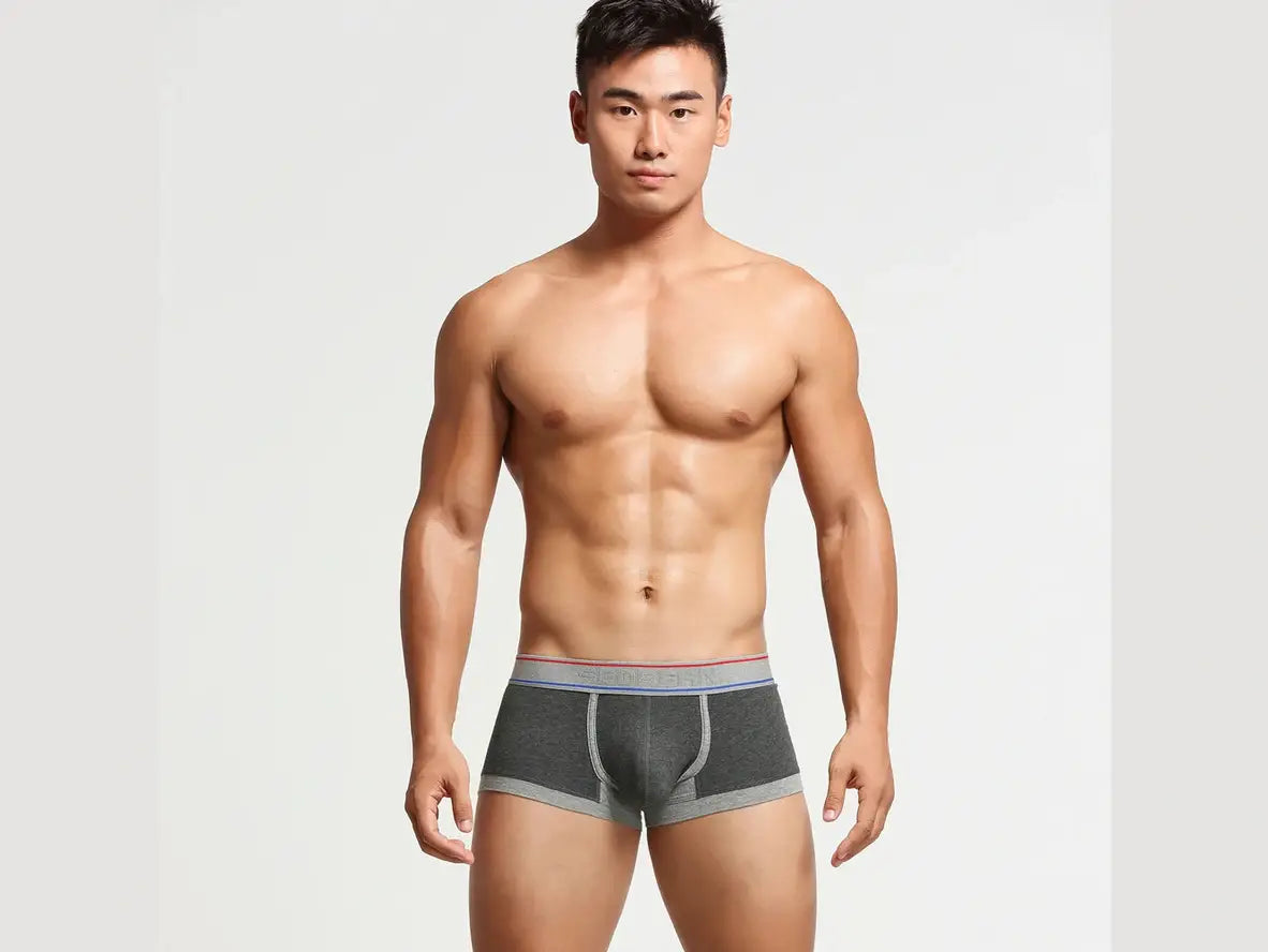 Gay Boxer Briefs | SEOBEAN Cotton Boxer Briefs