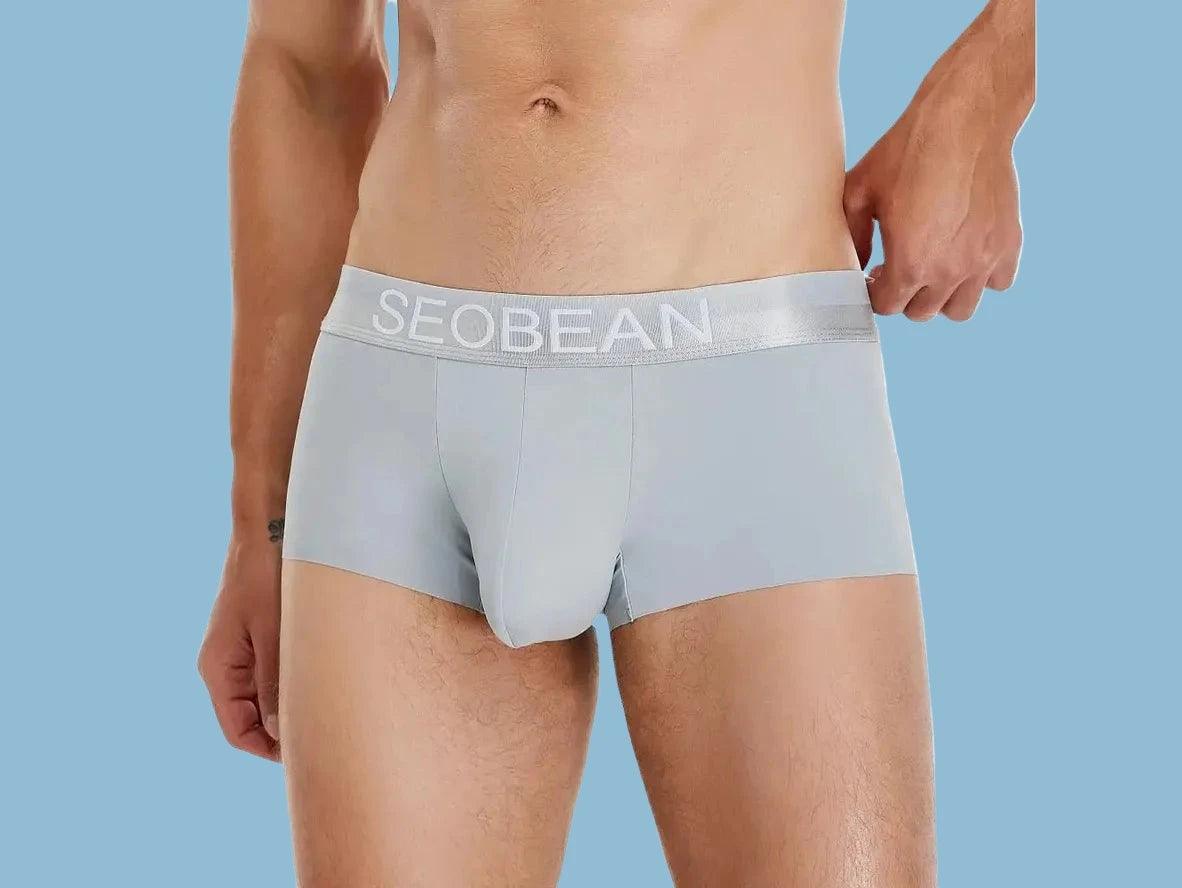 Gay Boxer Briefs | SEOBEAN Ice Silk Cool Boxer Briefs