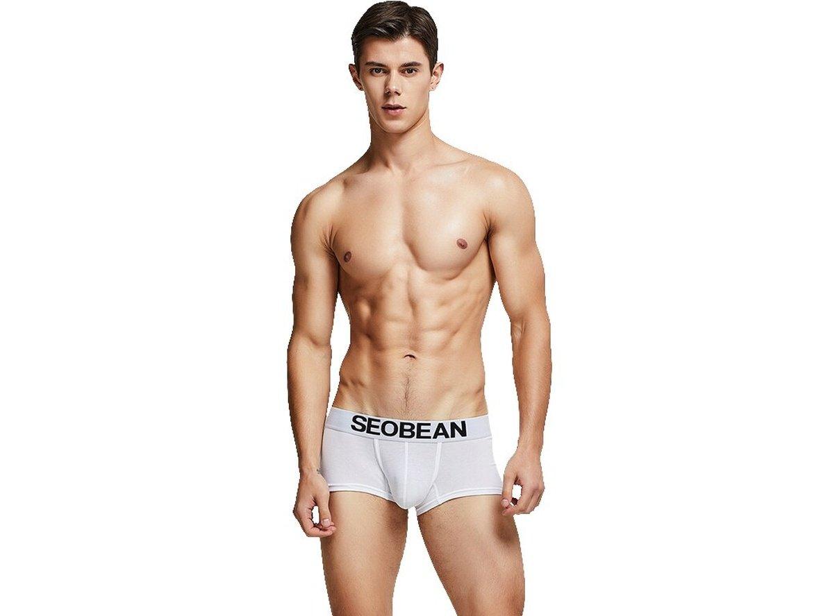 Gay Boxer Briefs | SEOBEAN Pure Colors Boxer Briefs