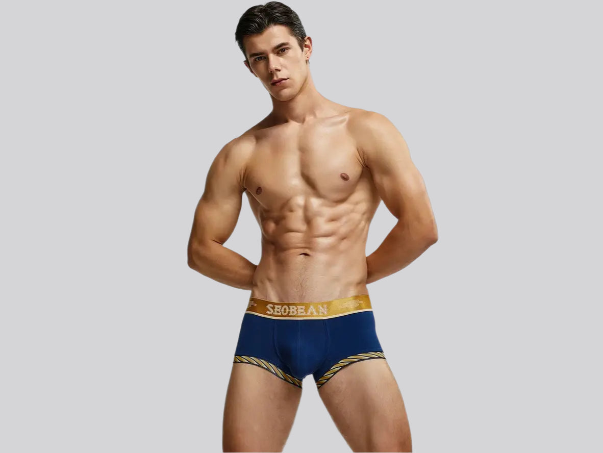 Gay Boxer Briefs | SEOBEAN Sexy Boxer Briefs