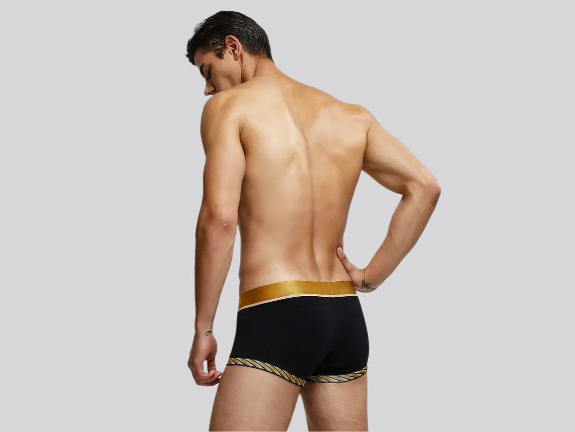 Gay Boxer Briefs | SEOBEAN Sexy Boxer Briefs