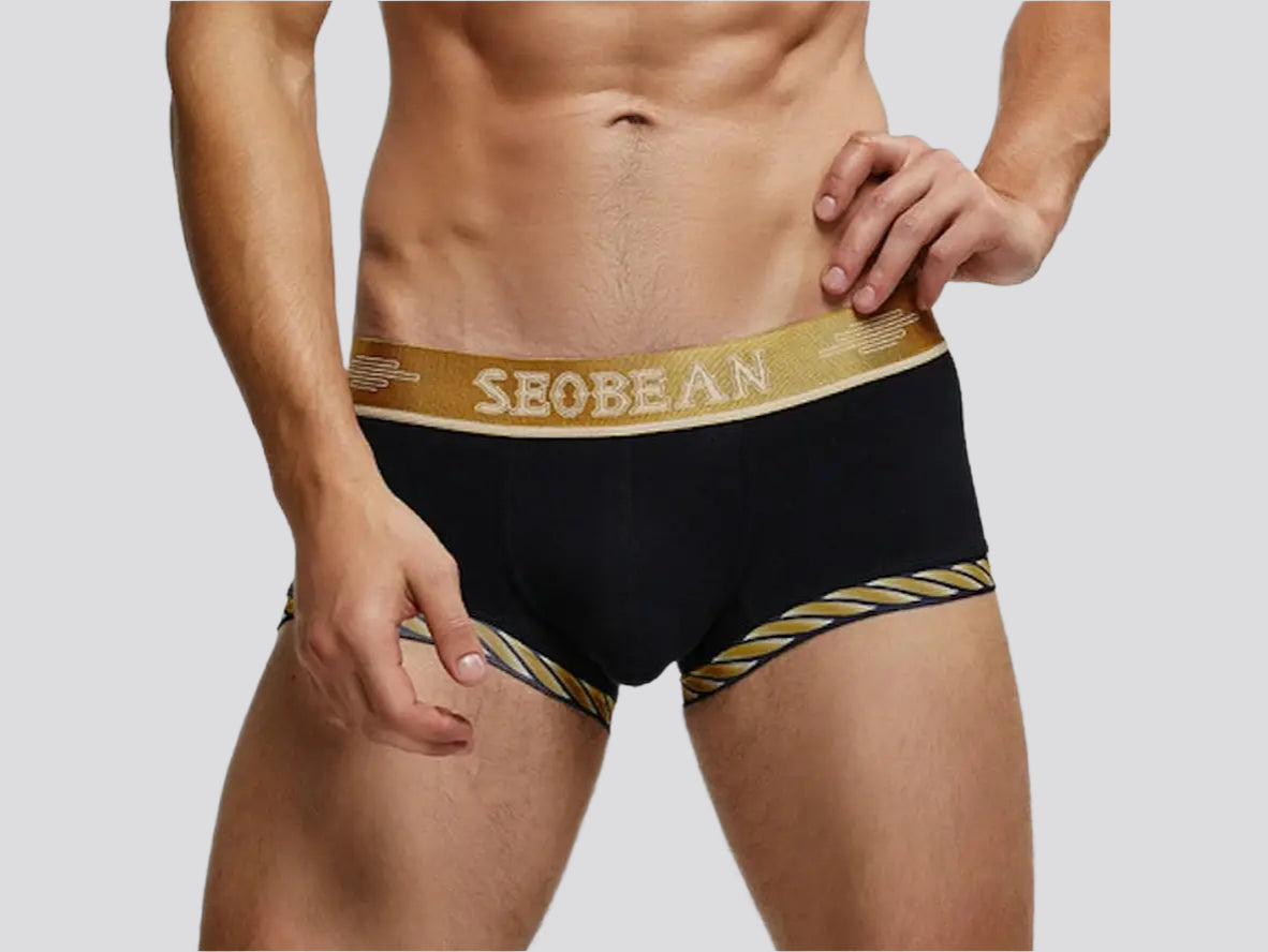 Gay Boxer Briefs | SEOBEAN Sexy Boxer Briefs