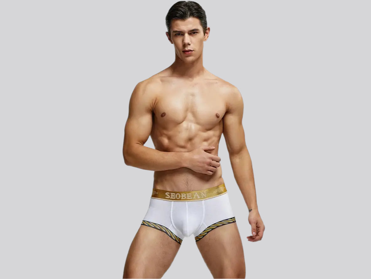 Gay Boxer Briefs | SEOBEAN Sexy Boxer Briefs