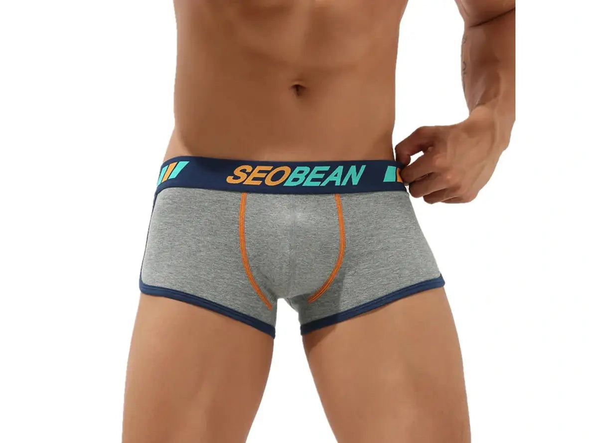 Gay Boxer Briefs | SEOBEAN Soft Underwear Boxer Briefs