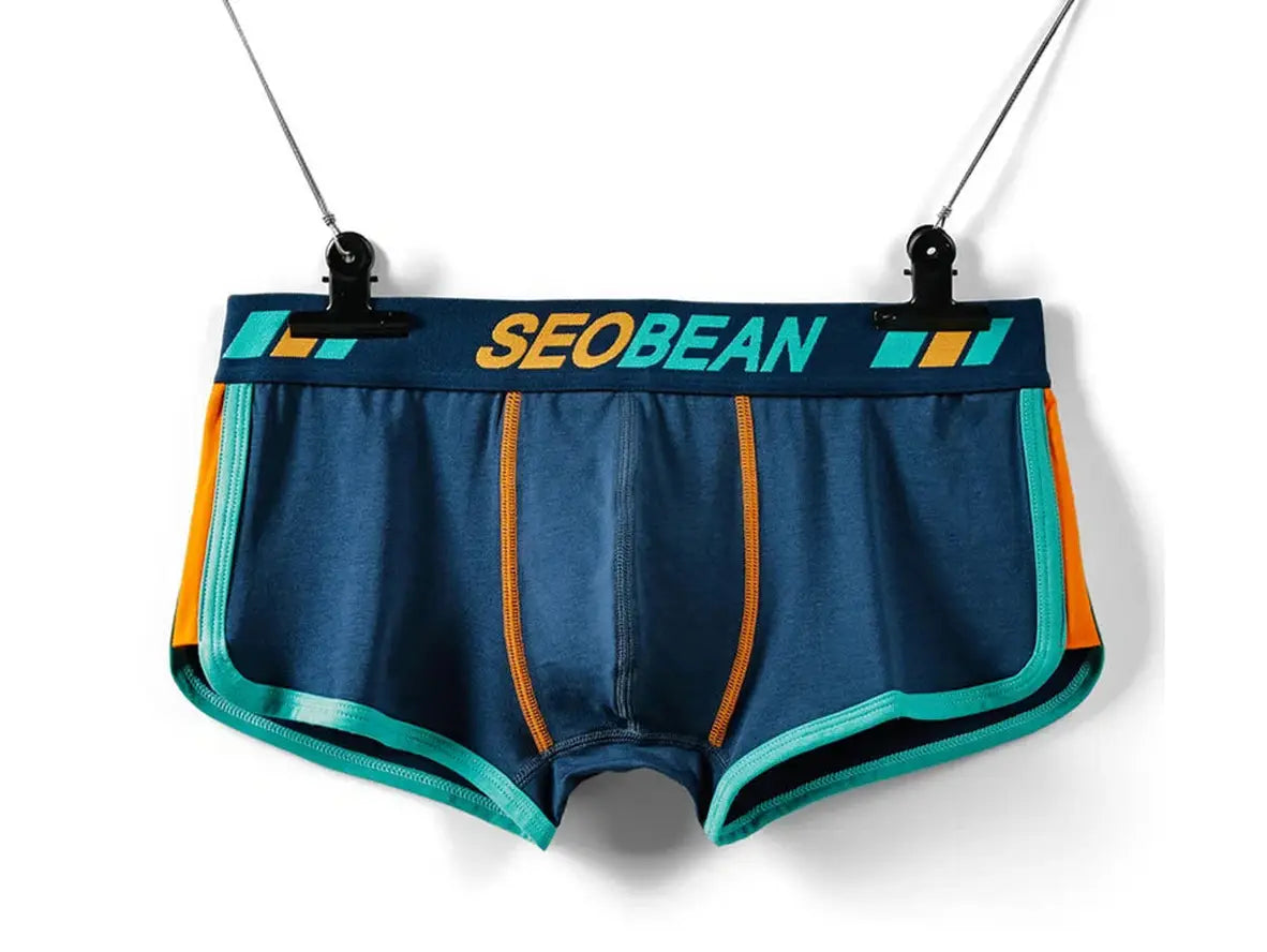 Gay Boxer Briefs | SEOBEAN Soft Underwear Boxer Briefs