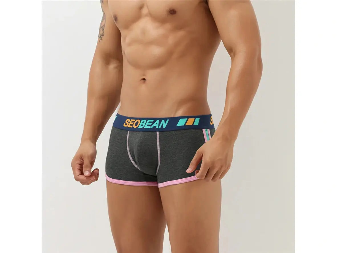 Gay Boxer Briefs | SEOBEAN Soft Underwear Boxer Briefs
