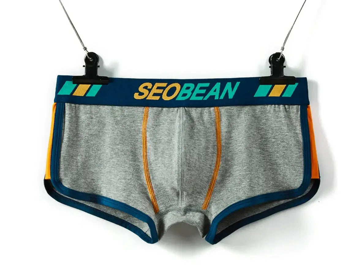 Gay Boxer Briefs | SEOBEAN Soft Underwear Boxer Briefs