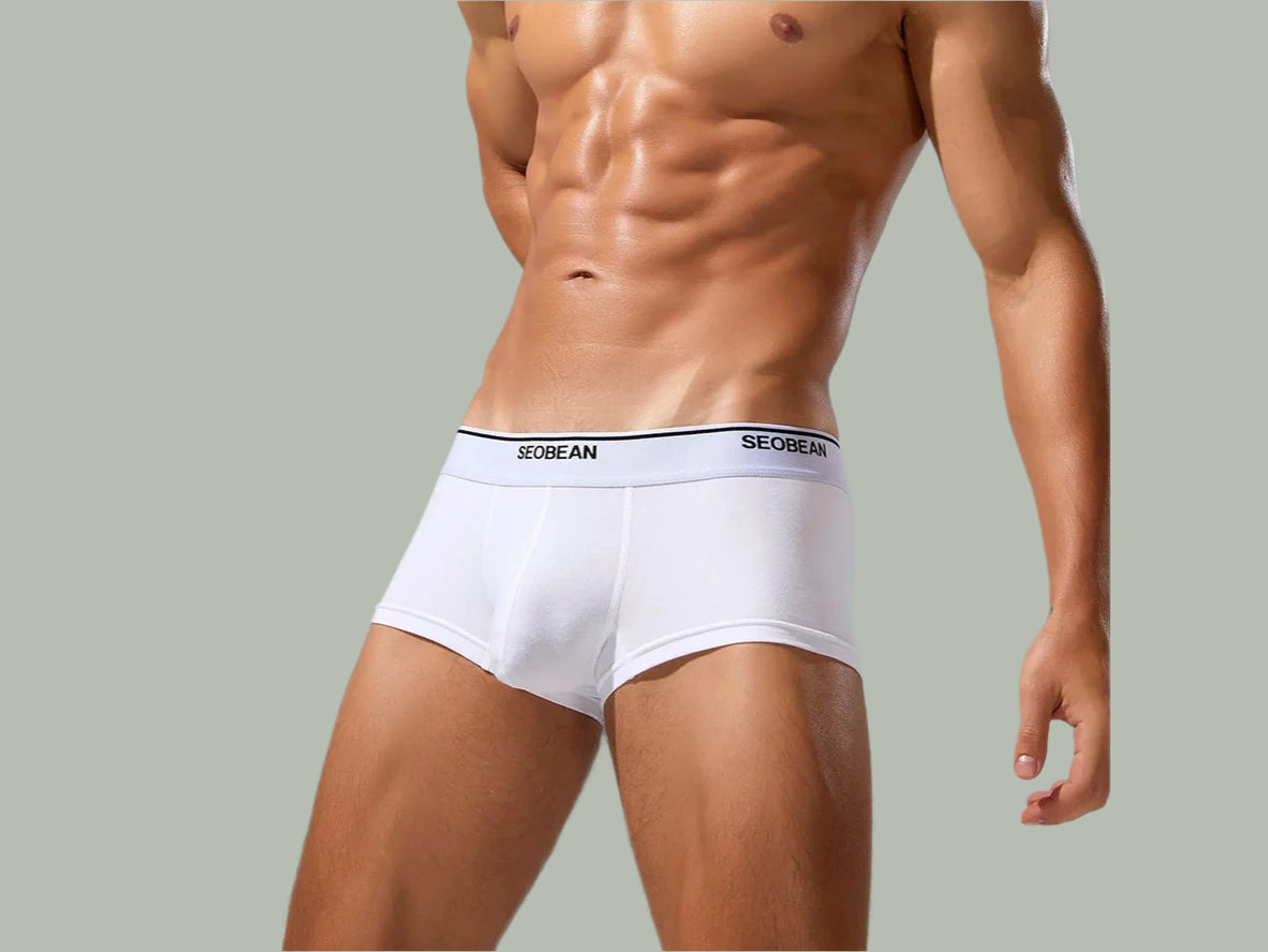 Gay Boxer Briefs | SEOBEAN Solid Cotton Boxer Briefs