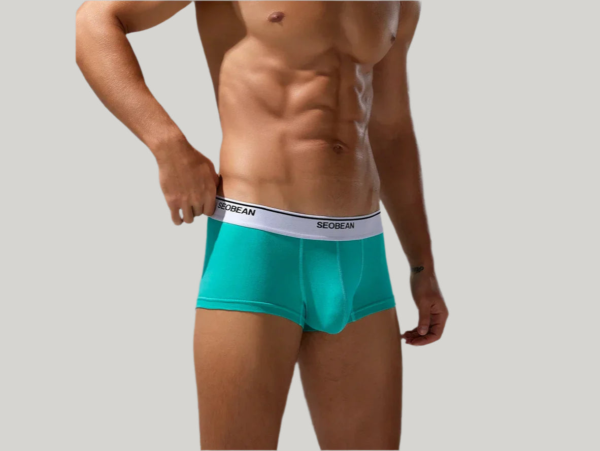 Gay Boxer Briefs | SEOBEAN Solid Cotton Boxer Briefs